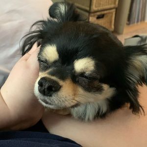 Meet your Posher, Samantha